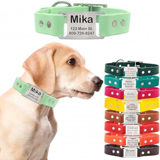 dogIDs Personalized Dog Collar – ScruffTag Custom Waterproof Biothane Dog Collar with Laser-Engraved Name, Durable & Odor-Resistant – USA Made | Mint, 5/8 in x 8 in (Fits Neck Sizes 7-9 in)