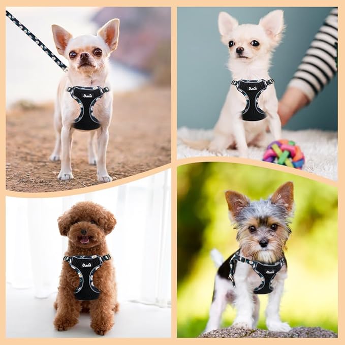 Lukovee No Pull Puppy Harness and Leash Set - Soft Lightweight Escape Proof Puppy Vest Harness, Breathable Adjustable Pet Harness with Dog Leash for Small Dogs (Black, S)