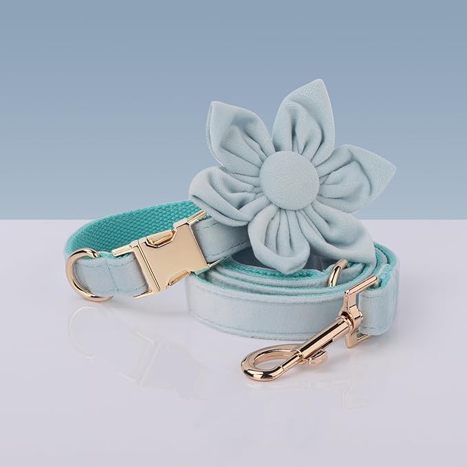 Velvet Personalized Dog Collar with Name - Customizable Dog Collar with Quick Release Metal Buckle - Leash and Bow Tie Available (Columbia Blue, XS)