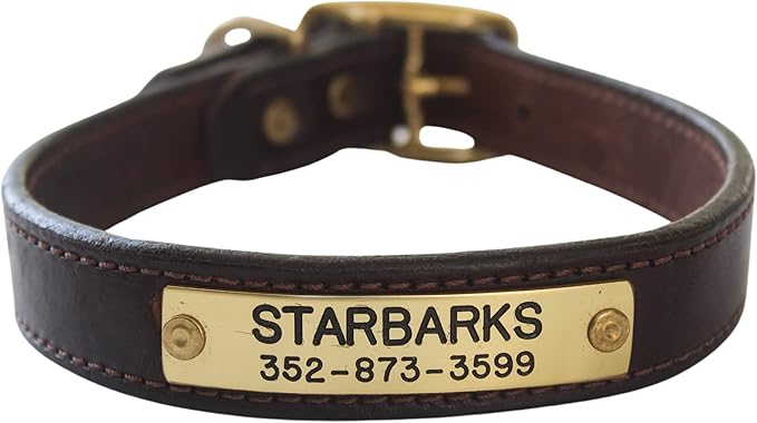 Custom Leather Dog Collars, Leather and Brass Dog Collar, 5/8, 3/4 and 1 Width Leather Dog Collars, Included Custom Engraved Personalized Name Plate (1 Inch Width)