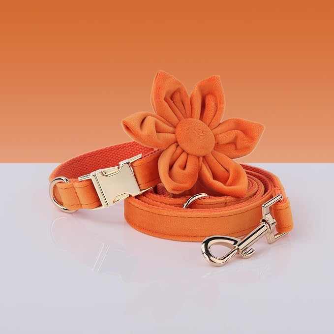 Velvet Personalized Dog Collar with Name - Customizable Dog Collar with Quick Release Metal Buckle - Leash and Bow Tie Available (Orange, S)