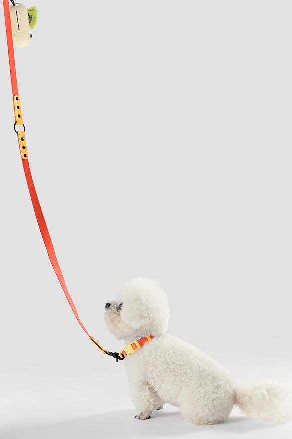 WLK1004A-5SET Luna Small 8FT Adjustable 6-in-1 Waterproof Hands-Free Leash and Collar with LED Flashlight, Bag Dispenser, and Poop Bag Holder, Aperol