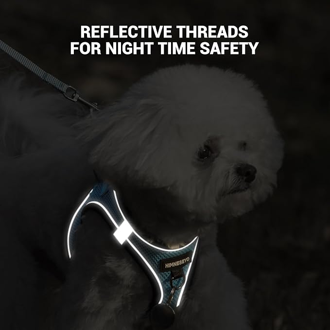 Dog Harness and Leash Set, Dog Harness for Dogs No Pull, No-Chock Step-in Reflective Breathable Lightweight Easy Walk Vest Harnesses with Safety Buckle for Small Medium Dogs, Cats (Light Blue, XL)