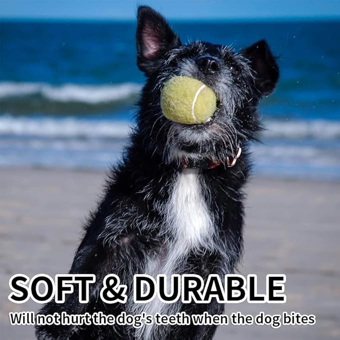 ptlsy Dog Tennis Balls 16 Pack for Dogs Interactive Dog Balls Toys for Medium & Small Dogs Standard Size (2.5 inch)
