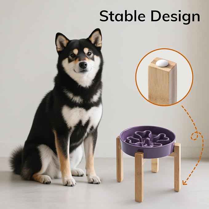 Slow Feeder,Ceramic-Slow Feeder Dog Bowls Elevated for Medium and Large Breed,2.5 Cups Slow Feed Dog Bowl with Stand,Purple