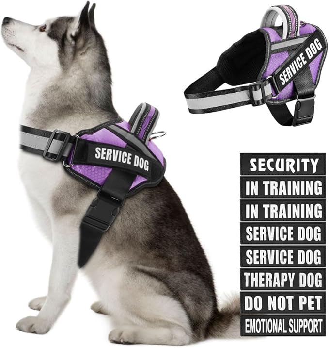 Dog Vest Harness and Patches Set, Animire in Training Service Dog Harness with 10 Dog Patches, Reflective Dog Vest with Handle for Small, Medium, Large, and Extra-Large Dogs