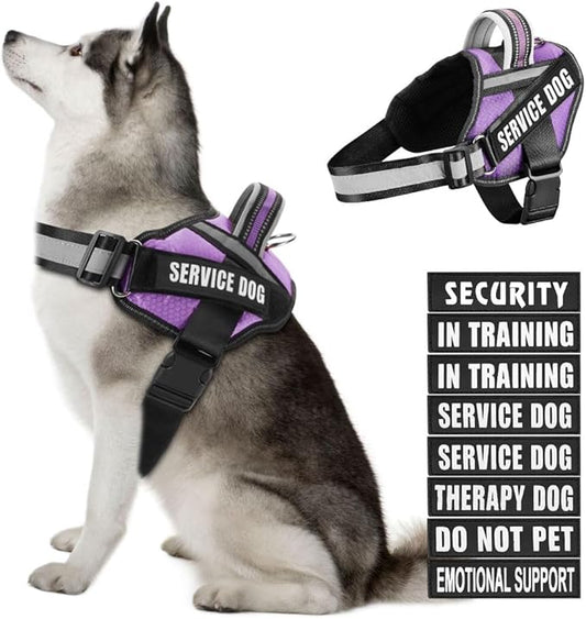 Dog Vest Harness and Patches Set, Animire in Training Service Dog Harness with 10 Dog Patches, Reflective Dog Vest with Handle for Small, Medium, Large, and Extra-Large Dogs