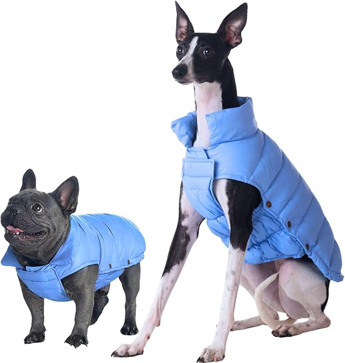 SPACE LION Dog Puffer Jacket, Down Winter Coat, Durable Outdoor Coat for Cold and Windy Conditions, Lightweight & Adjustable Fit Coats for Medium & Large Dogs, (Alaskan Blue, Size 16 Gift Box)