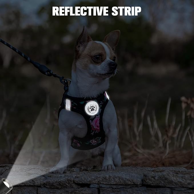 BEAUTYZOO Step in Dog Leash Set, Floral Pattern Reflective Harness No Pull No Choke Puppy Harness for XXS XS S Pets, Soft Padded Mesh Vest for Girl and Boy Dogs and Cats