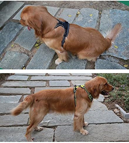 Truelove No Pull Dog Harness with Easy Control Handle and 2 Leash Attachments ,Reflective Adjustable Pet Vest