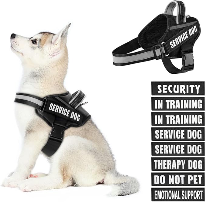 Dog Vest Harness and Patches Set, Animire in Training Service Dog Harness with 10 Dog Patches, Reflective Dog Vest with Handle for Small, Medium, Large, and Extra-Large Dogs