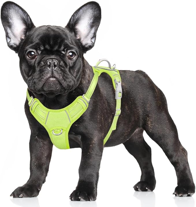 BARKBAY No Pull Dog Harness Large Reflective Dog Harness with Front Clip and Easy Control Handle for Walking Training Running with ID tag Pocket(Sunlight,S)