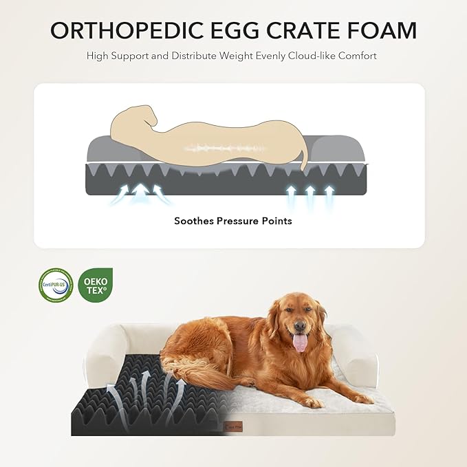 Orthopedic Dog Beds for Extra Large Dogs, Waterproof Egg Crate Foam XL Dog Bed with Sides 48x30Inch, Big Dogs Couch Beds with Removable Washable Cover and Nonskid Bottom, Beige