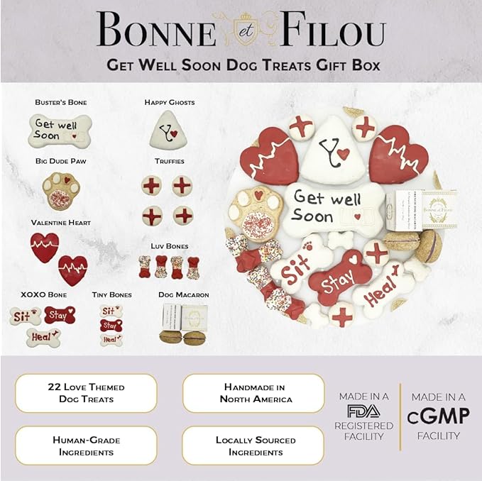 Bonne et Filou Get Well Soon Dog Treats, Gourmet Gift Box, 21 Luxury Macarons, Truffles & Bone Cookies, Healthy & Delicious Snacks for Medium to Large Dogs