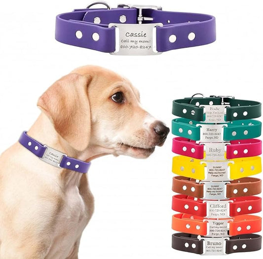 dogIDs Personalized Dog Collar – ScruffTag Custom Waterproof Biothane Dog Collar with Laser-Engraved Name, Durable & Odor-Resistant – USA Made | Purple, 1 in x 22 in (Fits Neck Sizes 20-24 in)