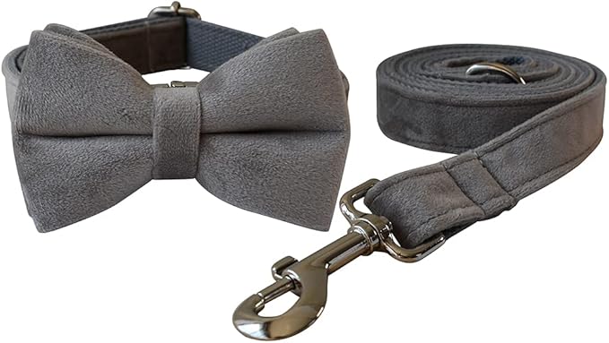 Dog Collar Custom Personalized Engraved Name and Phone Number for Puppy Small Medium Large Pets (XL, Grey)