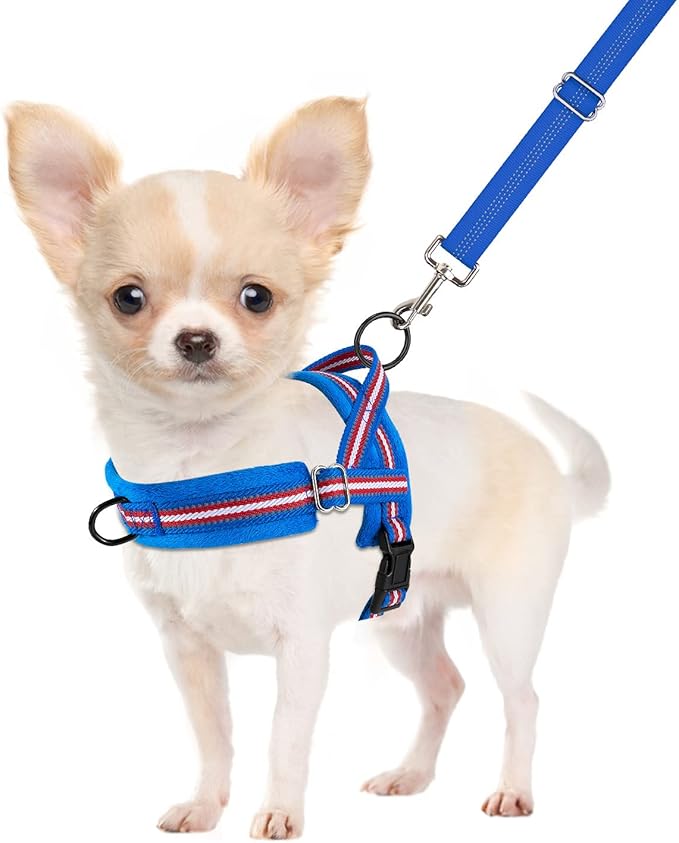SlowTon No Pull Small Dog Harness and Leash Set, Puppy Soft Vest Harness Neck & Chest Adjustable, Reflective Lightweight Harness & Anti-Twist Pet Lead Combo for Small Medium Dogs (DB-Front Clip, S)
