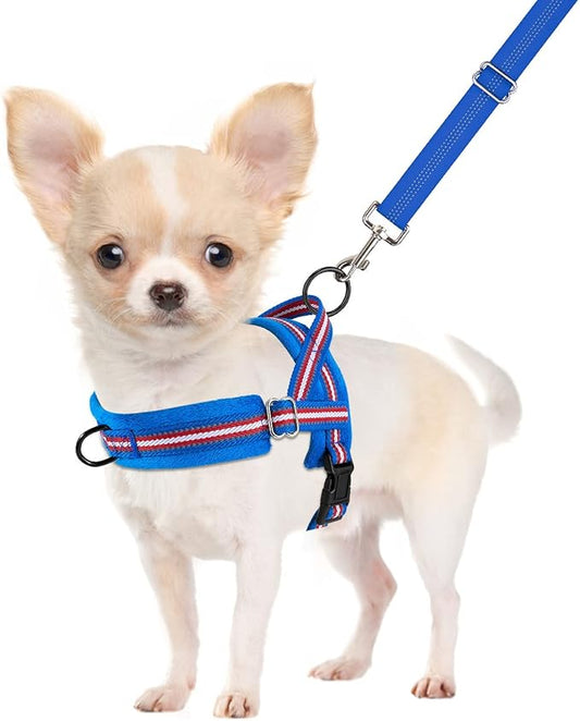 SlowTon No Pull Small Dog Harness and Leash Set, Puppy Soft Vest Harness Neck & Chest Adjustable, Reflective Lightweight Harness & Anti-Twist Pet Lead Combo for Small Medium Dogs (DB-Front Clip, XS)