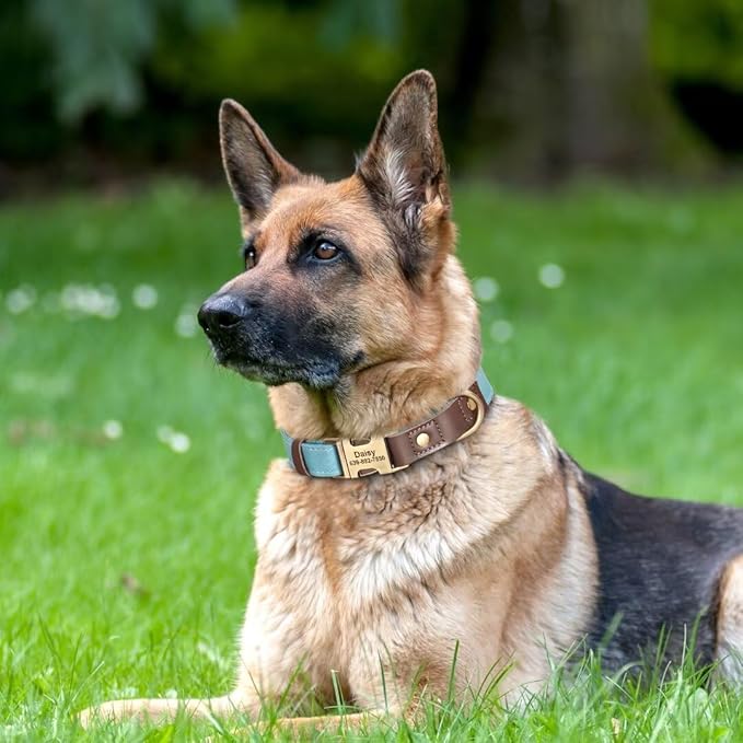 Personalized Dog Collars, Custom Soft PU Leather Dog Collar with Pet Name and Phone Number for Large Dogs, Adjustable and Durable Pet Collars with Quick Release Metal Buckle,L(15-23")