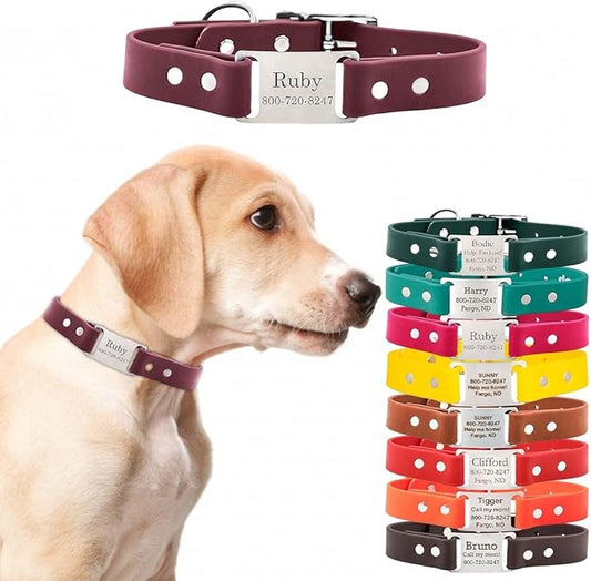 dogIDs Personalized Dog Collar – ScruffTag Custom Waterproof Biothane Dog Collar with Laser-Engraved Name, Durable & Odor-Resistant – USA Made | Wine, 1 in x 18 in (Fits Neck Sizes 16-20 in)
