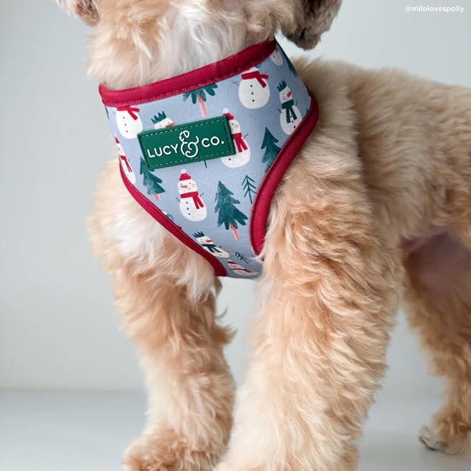 Lucy & Co. Cute Reversible Dog Harness Walking Halter - Best Designer Pet Harnesses for XS - XL Dogs - Padded Adjustable Vest for Easy Walking-X-Small-Gray & White Snowman