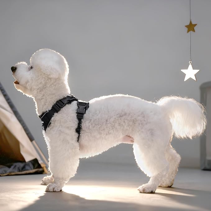 Small Dog Harness and Leash Set，No Pull Adjustable Pet Harness for Small Dogs ，Breathable Mesh Reflective Dog Vest Harness (Black, XXS)