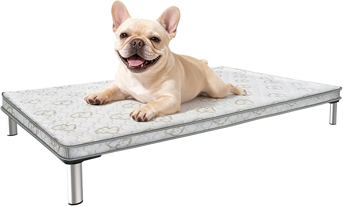 FXW TitanNest Chew-Proof Elevated Dog Bed, Raised Cot for Indoor/Outdoor/Camping Use, Durable & Washable Padded Pet Bed with Exclusive Reuseable Cover for Small Dogs, 35.0" L x 22.0" W x 4.5" H, Black