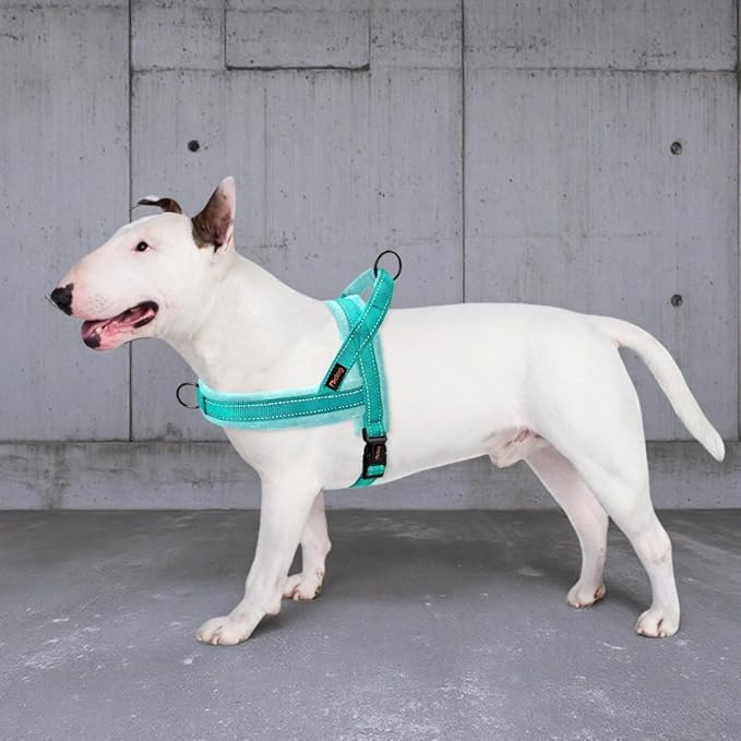 Didog Soft Flannel Padded Dog Vest Harness, No Pull/Quick Fit Reflective Dog Strap Harness, Easy for Training Walking (M:Chest 21-26", Green)