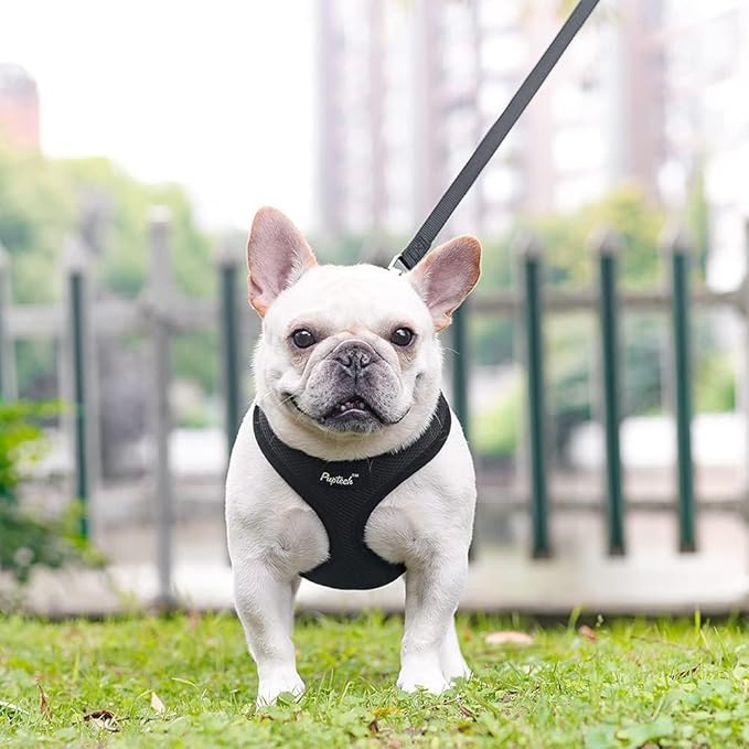 PUPTECK Soft Mesh Dog Harness and Leash Set Pet Puppy Cat Comfort Padded Vest No Pull Harnesses, Solid Black, L