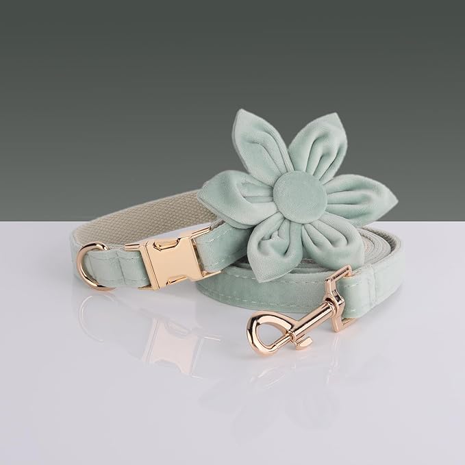 Velvet Personalized Dog Collar with Name - Customizable Dog Collar with Quick Release Metal Buckle - Leash and Bow Tie Available (Celadon, L)