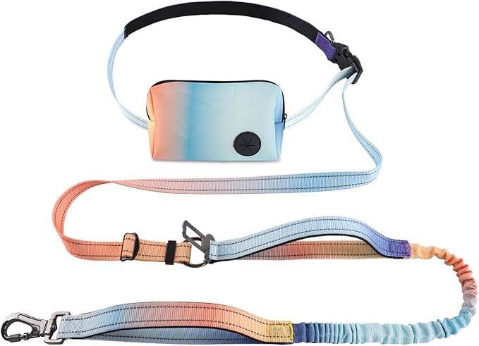 Roses&Poetry Hands Free Dog Leash with Zipper Pouch, 6-9ft Bungee Waist Leash for Medium Large Dogs Walking, Running Lead with Dual Padded Handles Car Safety Buckle for Training Jogging