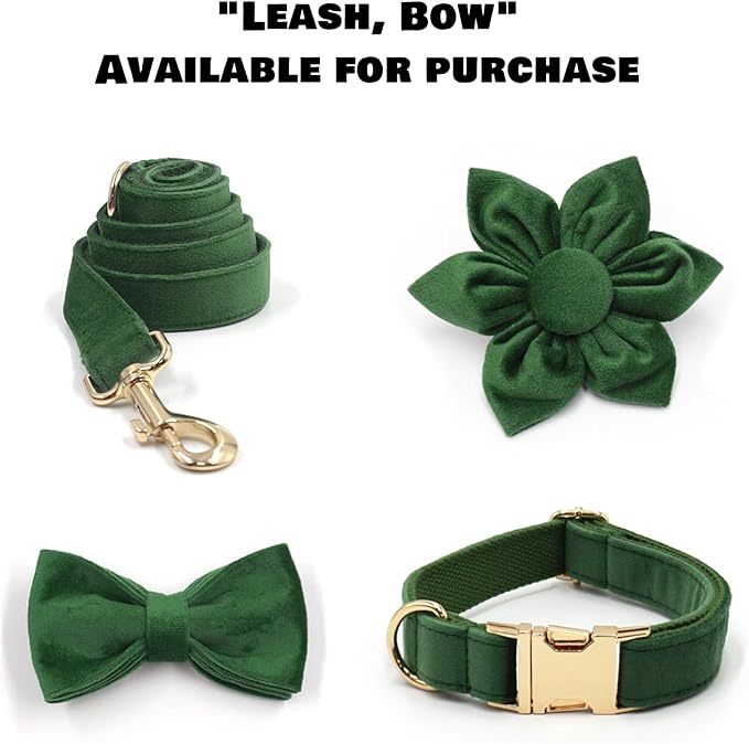 Velvet Personalized Dog Collar with Name - Customizable Dog Collar with Quick Release Metal Buckle - Leash and Bow Tie Available (Dark Green, S)