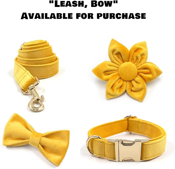 Velvet Personalized Dog Collar with Name - Customizable Dog Collar with Quick Release Metal Buckle - Leash and Bow Tie Available (Yellow, M)