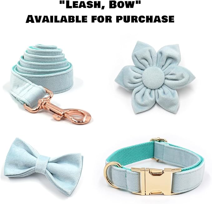 Velvet Personalized Dog Collar with Name - Customizable Dog Collar with Quick Release Metal Buckle - Leash and Bow Tie Available (Columbia Blue, L)
