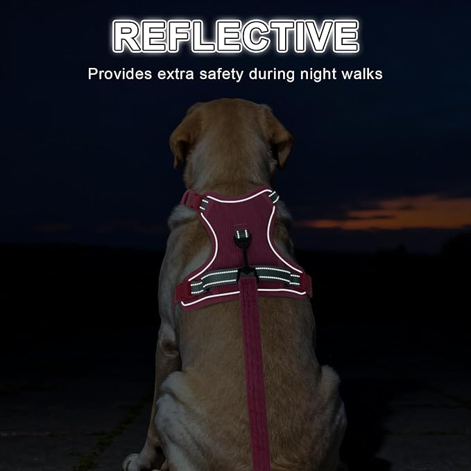 BEAUTYZOO No Pull Dog Harness Large, Adjustable Dog Harness and Leash Set -Easy Wearing with 3 Buckles/Control Handle,No Choke Soft Padded Reflective Pet Vest for Training Walking Hiking,Rose S