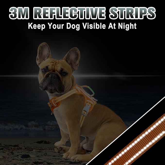 BARKBAY No Pull Dog Harness Large Reflective Dog Harness with Front Clip and Easy Control Handle for Walking Training Running with ID tag Pocket(Orange,XS)