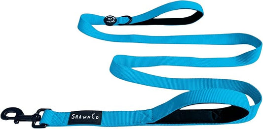 ShawnCo Dream Walk Dog Leash- Premium, Nylon Pet Leash with Soft Neoprene Handle for Small, Medium and Large Dogs (Oceanic Blue, M/L 6FT w/ 2 Handles)
