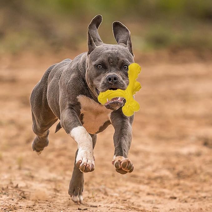 Dog Chew Toys for Aggressive Chewers Large Breed,Indestructible Bones Toy，Durable Cleaning Toothbrush Natural Rubber Dog Toys… (Yellow)