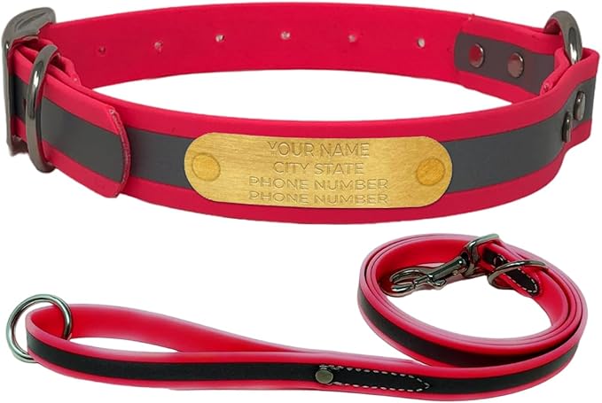 Regal Dog Products Small Pink with Custom Engraved Reflective Dog Collar and Leash Set | Waterproof Dog Collar with D Ring | Center Ring & 5'ft Leash | Matching Dog Collar and Leash for Dogs