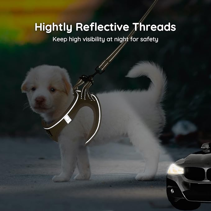 BELLA & PAL Step in Vest Harness for Small and Medium Dogs, No Pull Small Dog Harness with Leash Set, Comfortable Air Mesh Dog Vest Harness with Reflective Strip (Khaki, L)