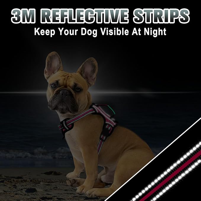BARKBAY No Pull Dog Harness Large Reflective Dog Harness with Front Clip and Easy Control Handle for Walking Training Running with ID tag Pocket(Pink/Black,XS)