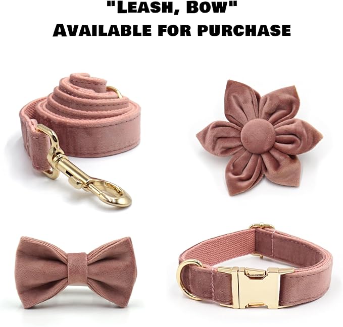 Velvet Personalized Dog Collar with Name - Customizable Dog Collar with Quick Release Metal Buckle - Leash and Bow Tie Available (Dusty Rose, XS)
