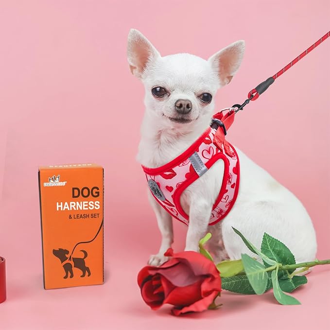 BEAUTYZOO Step in Dog Harness and Leash Set,Reflective Dog Harness No Pull No Choke Puppy Harness for Small Medium Large Dogs Cats,Soft Padded Mesh Vest Harnesses for Girl and Boy,Valentine's Day M