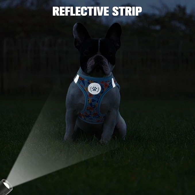 BEAUTYZOO Step in Dog Harness and Leash Set, Floral Pattern Reflective No Pull No Choke Puppy Harness for Small Medium Large Dogs Cats, Soft Padded Mesh Vest Harnesses for Girl and Boy Pets