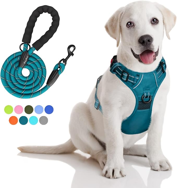 PoyPet No Pull Dog Harness and 5 Feet Leash Set, Release on Neck Reflective Adjustable Pet Vest, Front & Back 2 D-Ring and Soft Padded Pet Harness with Handle for Small to Large Dogs(Tumalo Teal,M)