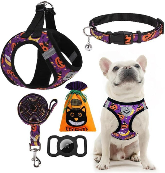 EXPAWLORER Halloween Puppy Harness - Dog Collar and Leash - Soft Mesh Padded Adjustable Step in Small Dog Vest Harness No Pull, Reflective Escape Proof for Outdoor Walking, Purple M