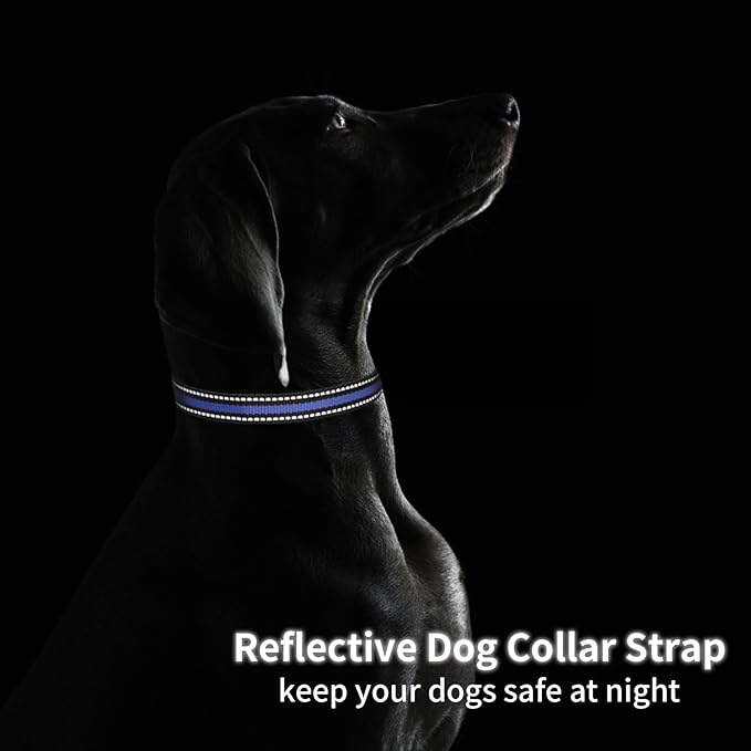 Modern Stylish 3/4" E Collar Replacement Strap with Quick Release, Adjustable for Small to Large Dogs, Replacement for Shock Collar (Black & Blue)