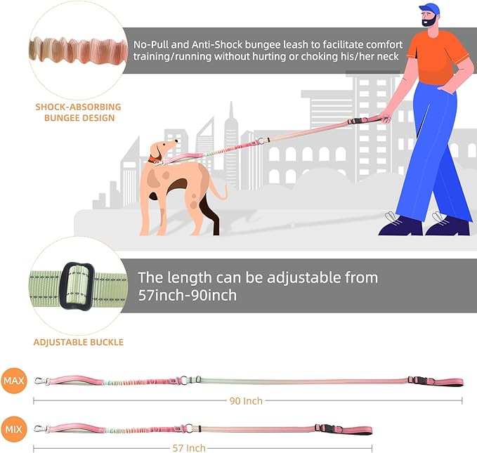 Roses&Poetry Hands Free Dog Leash for Medium Large Dogs Heavy Duty, No Pull Bungee Dog Running Waist Leash for Walking Training with Car Seatbelt 4-6FT