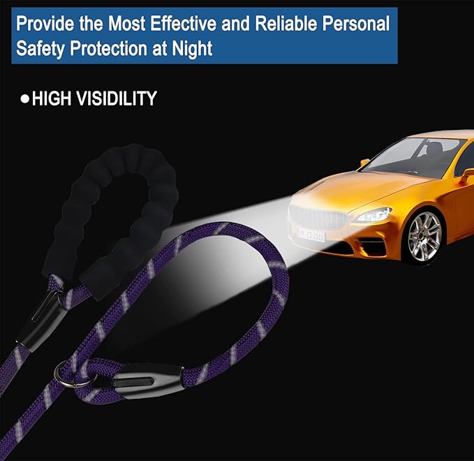 Dog Rope Leash, Strong Dog Leash, Premium Quality Training Dogs Leashes with Comfortable Padded Handle and Highly Reflective Threads for Small Medium and Large Dogs, (Purple)