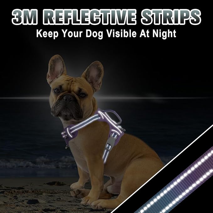 BARKBAY No Pull Dog Harness Large Reflective Dog Harness with Front Clip and Easy Control Handle for Walking Training Running with ID tag Pocket(Lavender Sky,XS)